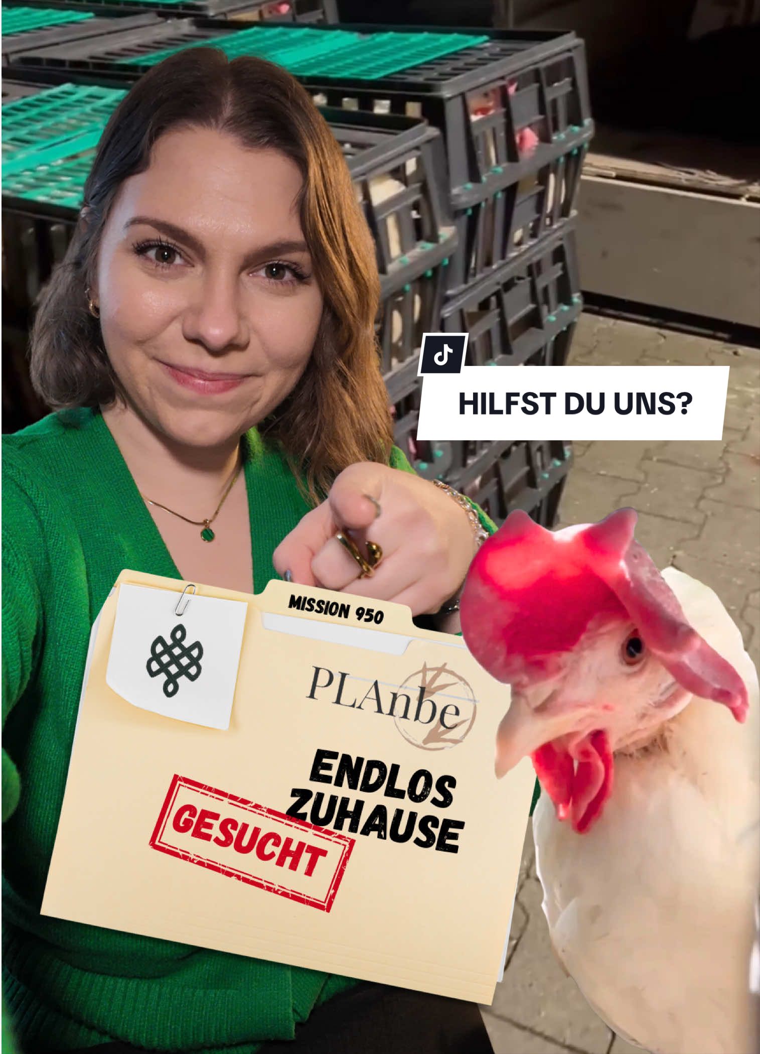 @endloskater