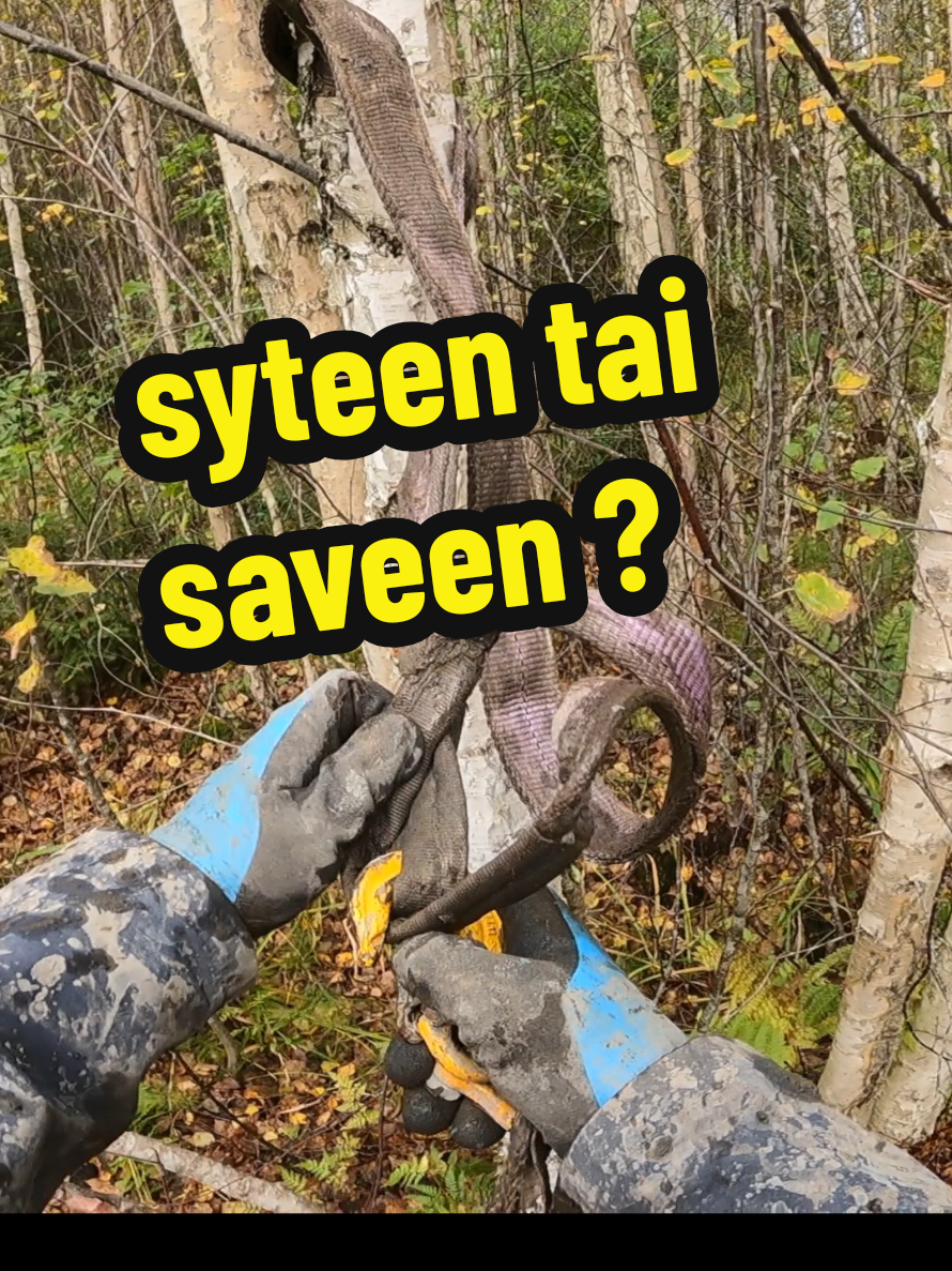@Moran M&ouml;nkij&auml;talli