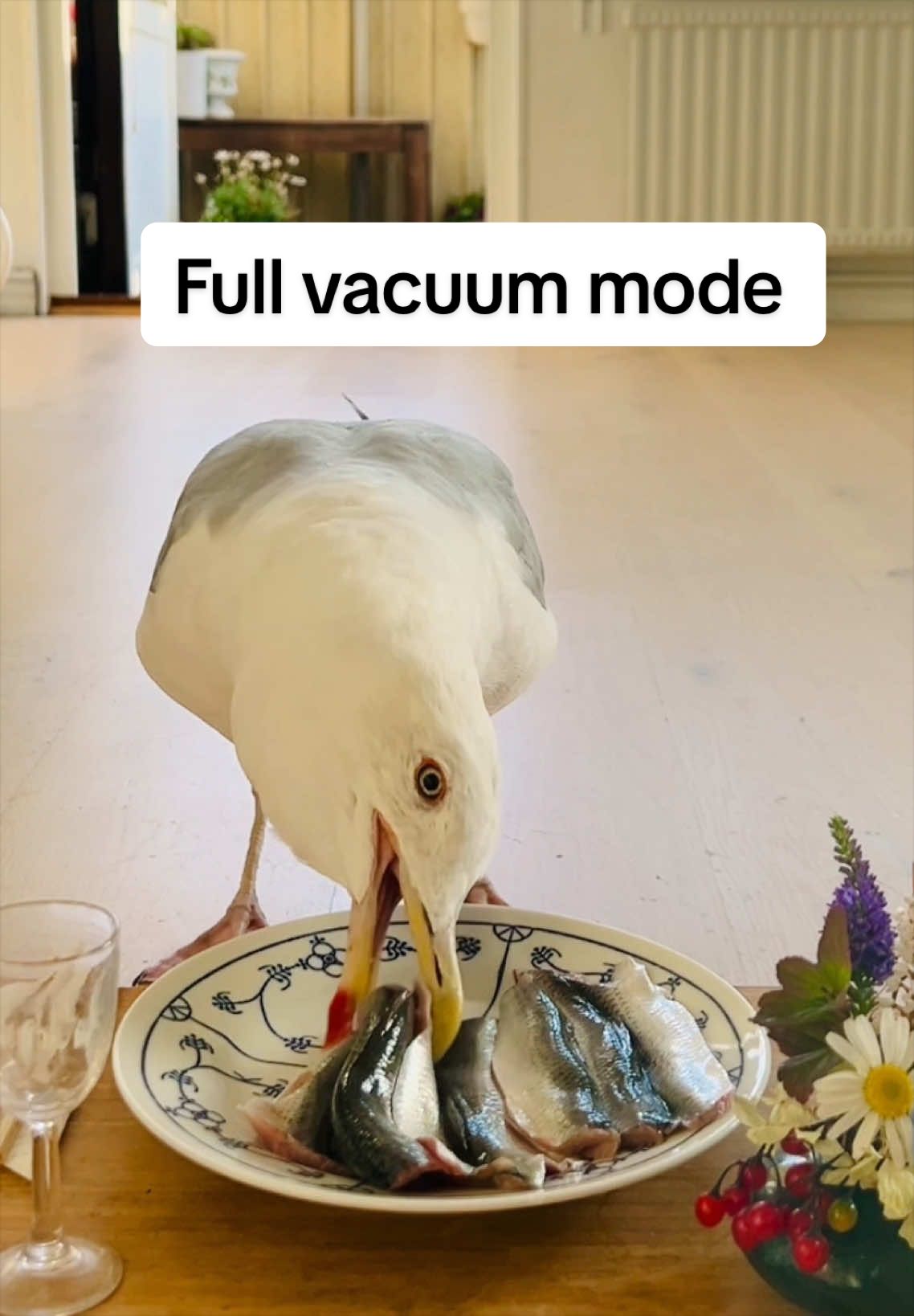 @Winston gull