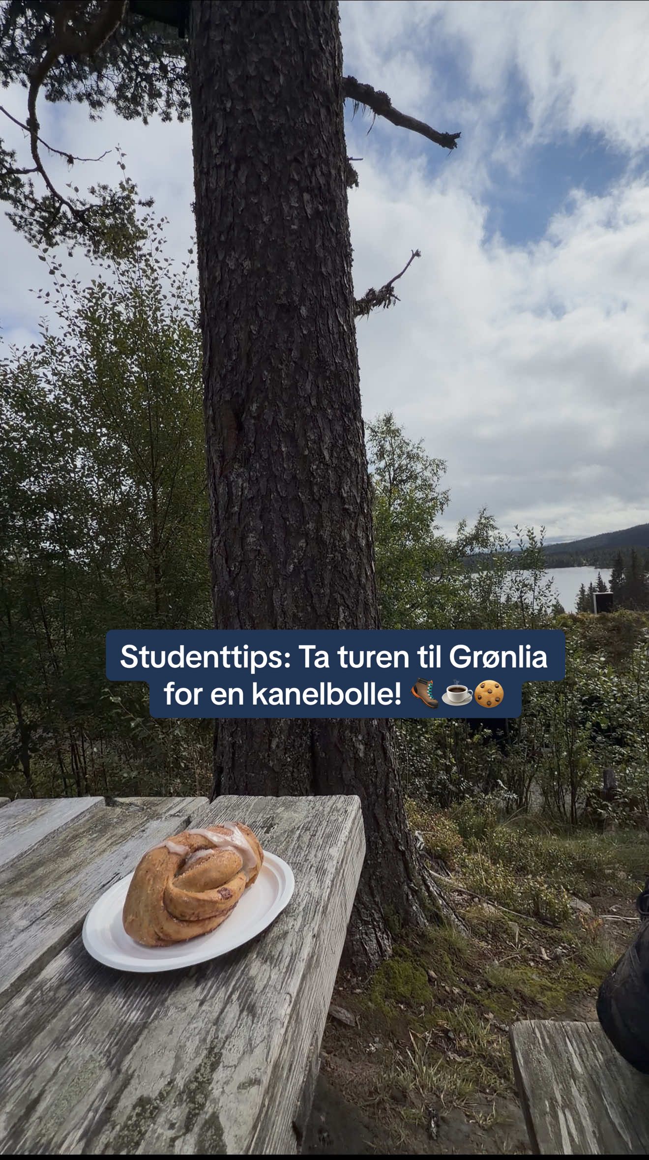 @Barnehagelærerstudenten
