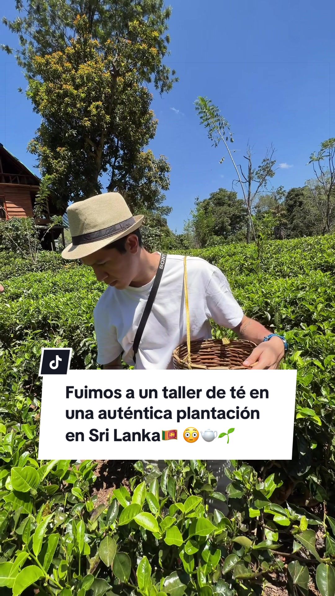 @Karyna & Pedro
