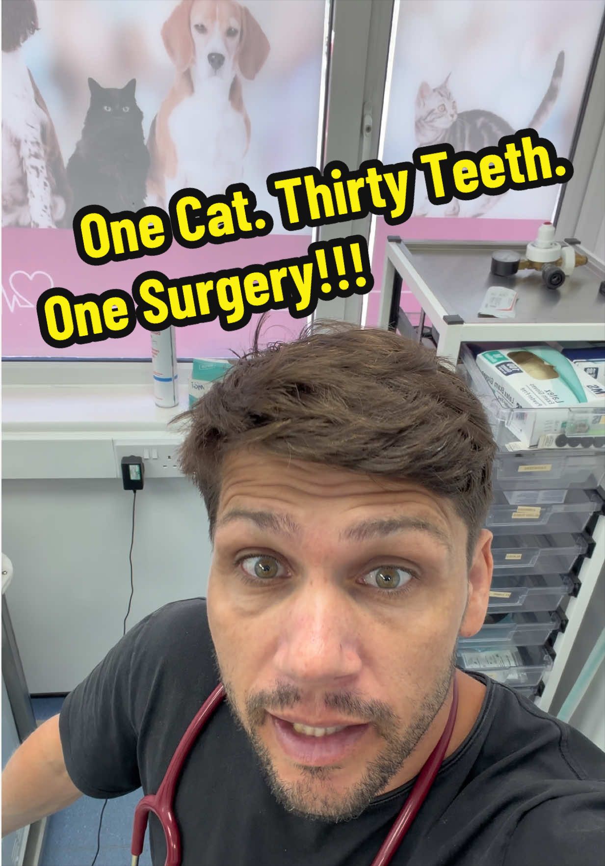 @Tomasthevet
