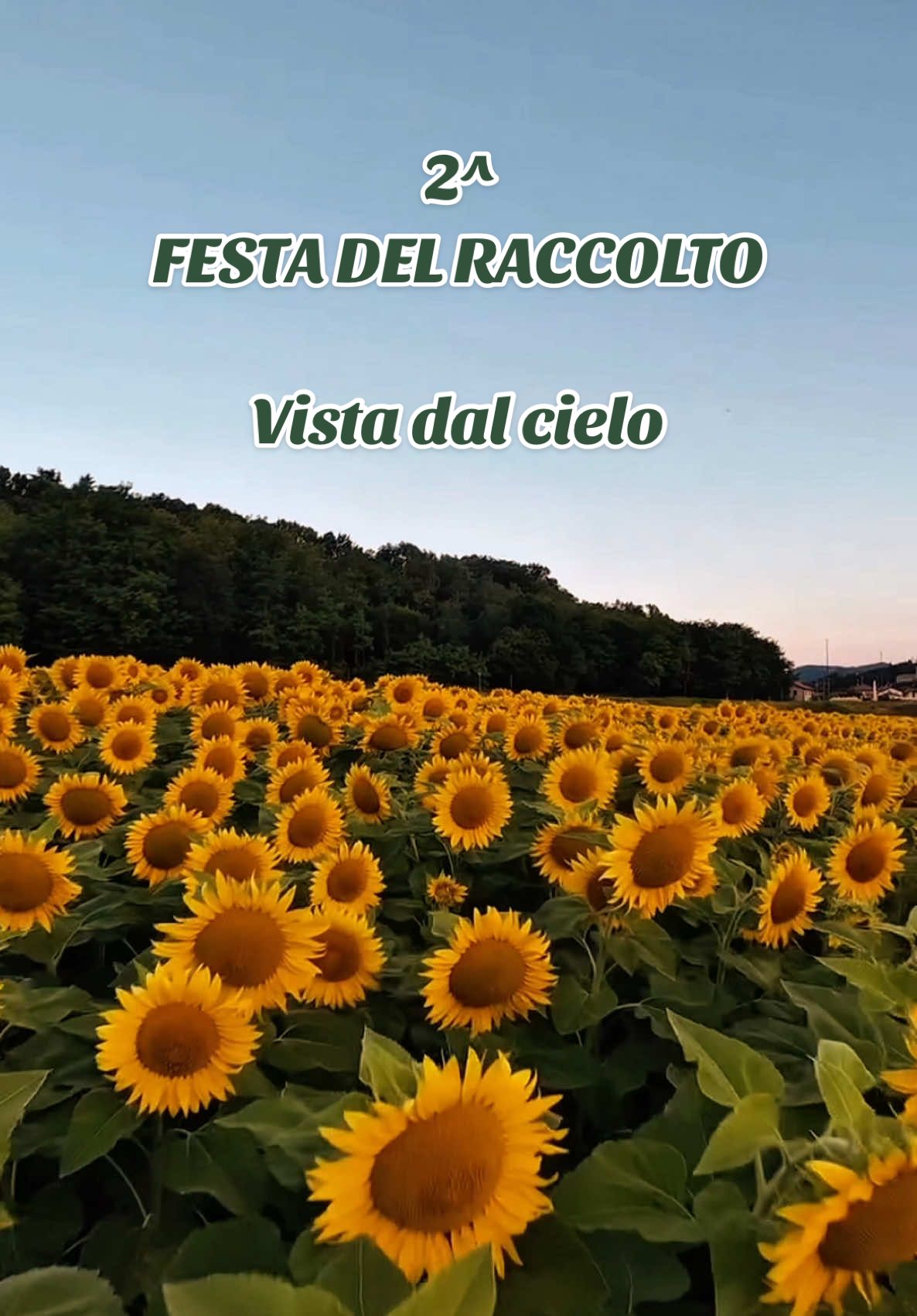@santalucia_marigliano