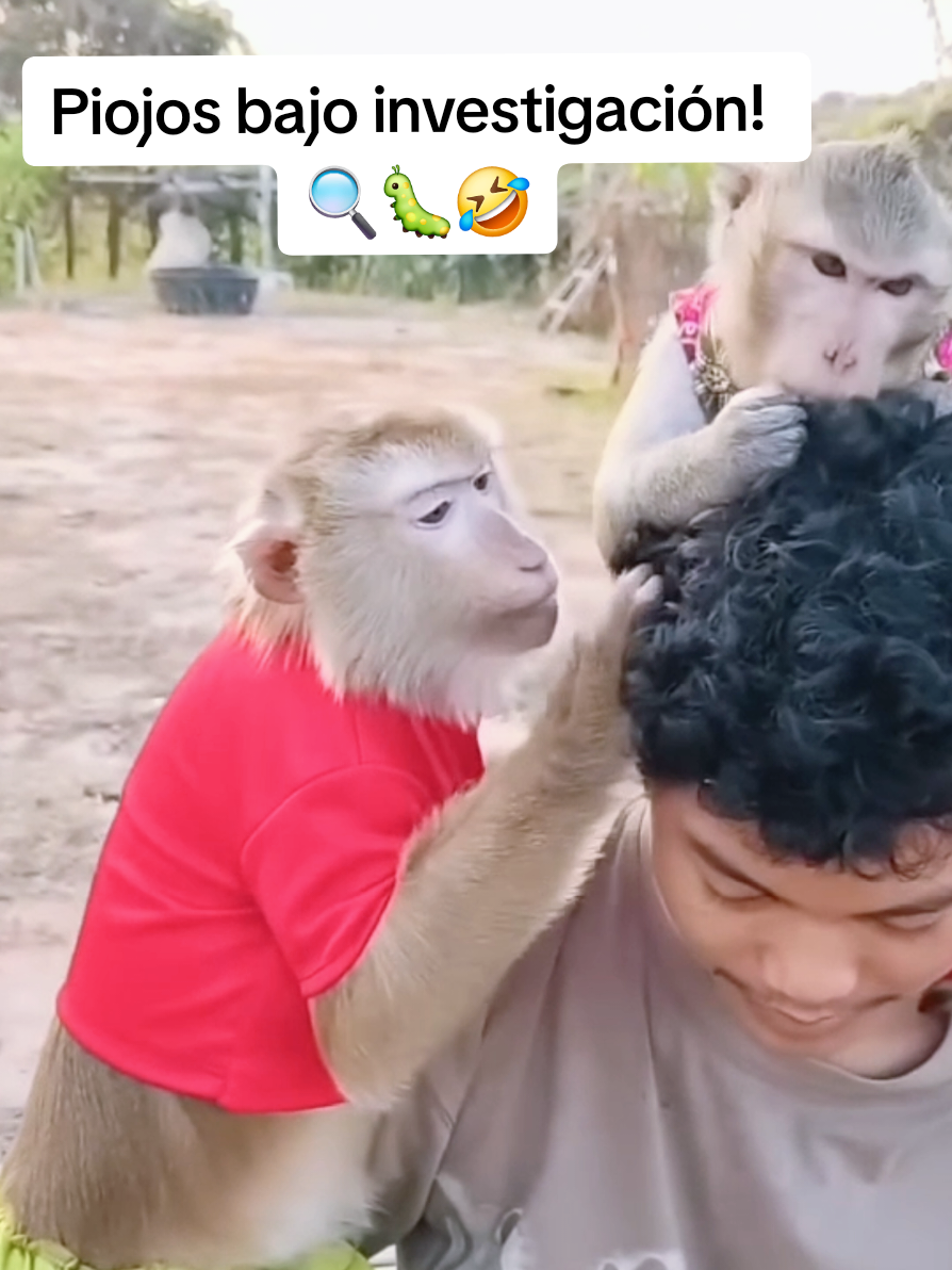 @monkeyYAYA