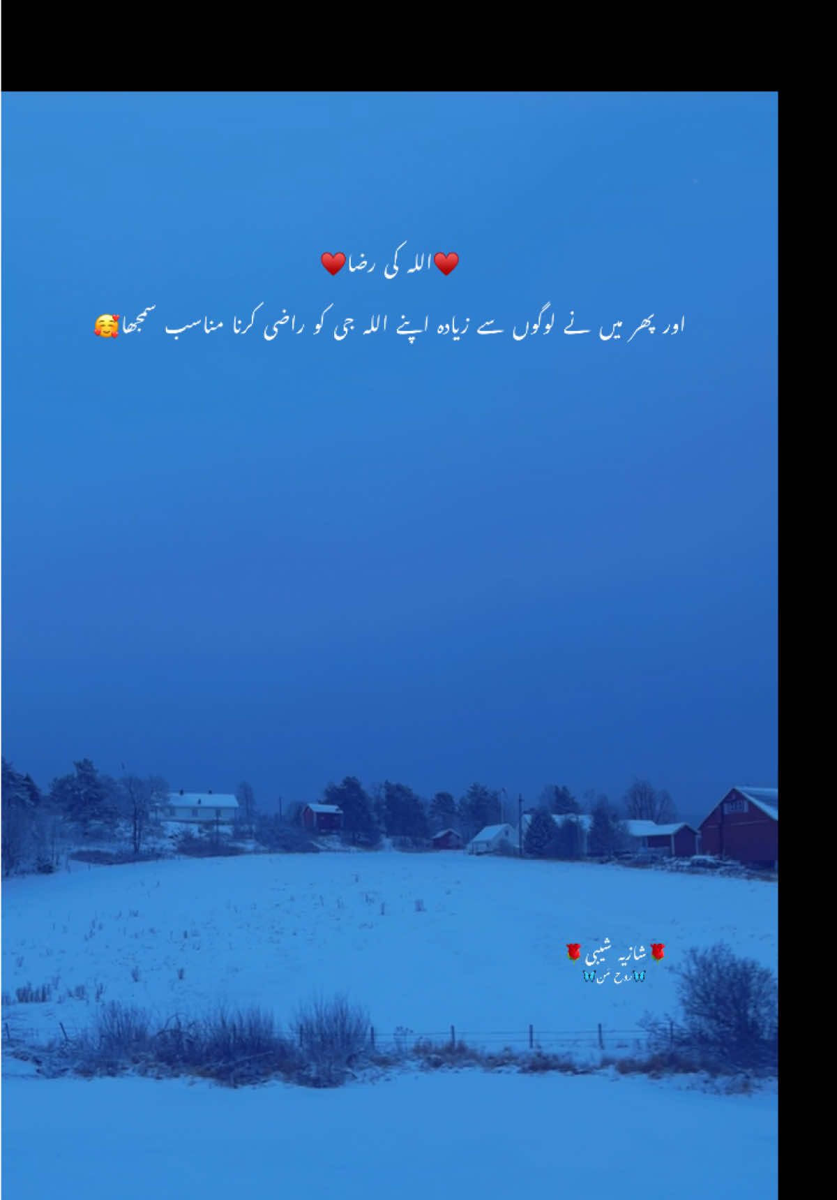 @Shaby♥️✨سیپ