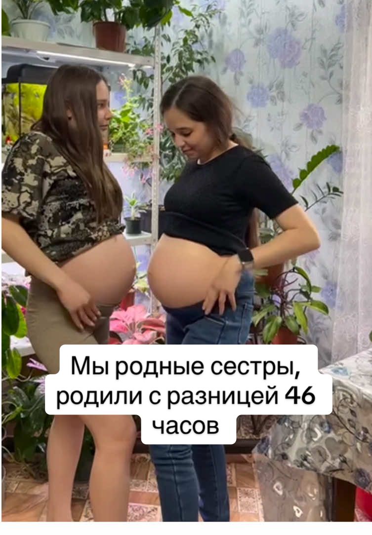@Дом полон жизни