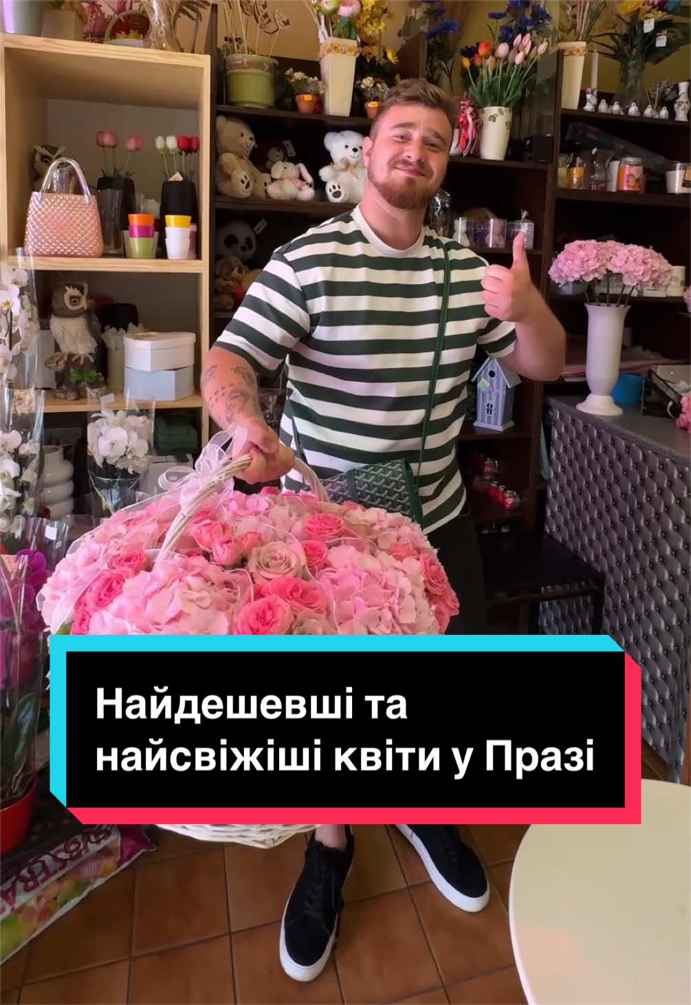 @STRONG BOGDAN