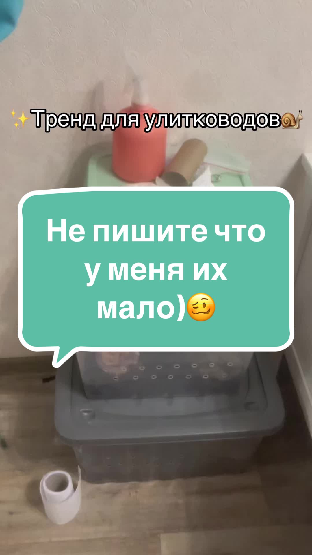 @angie🦋@