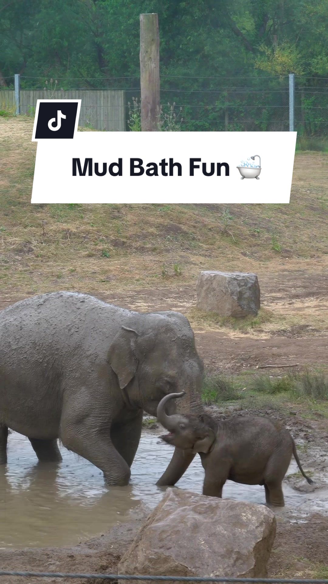 @Animals Travel Adventures