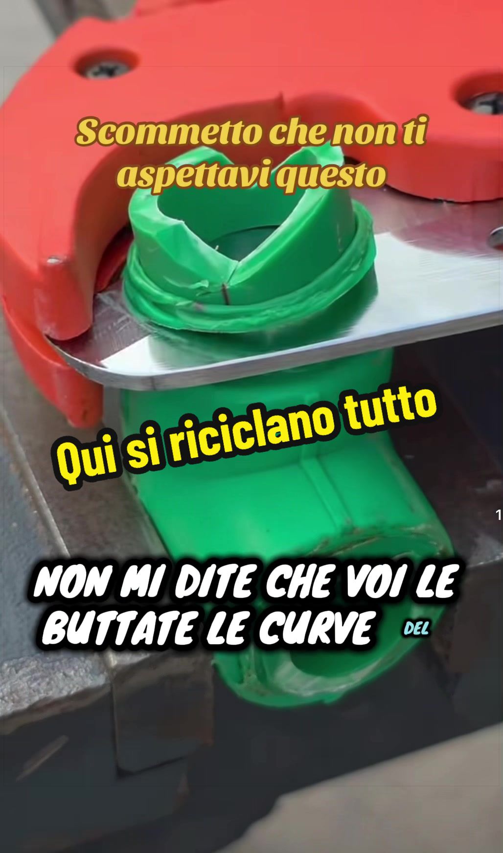 @Alessandro Cuomo ♌️