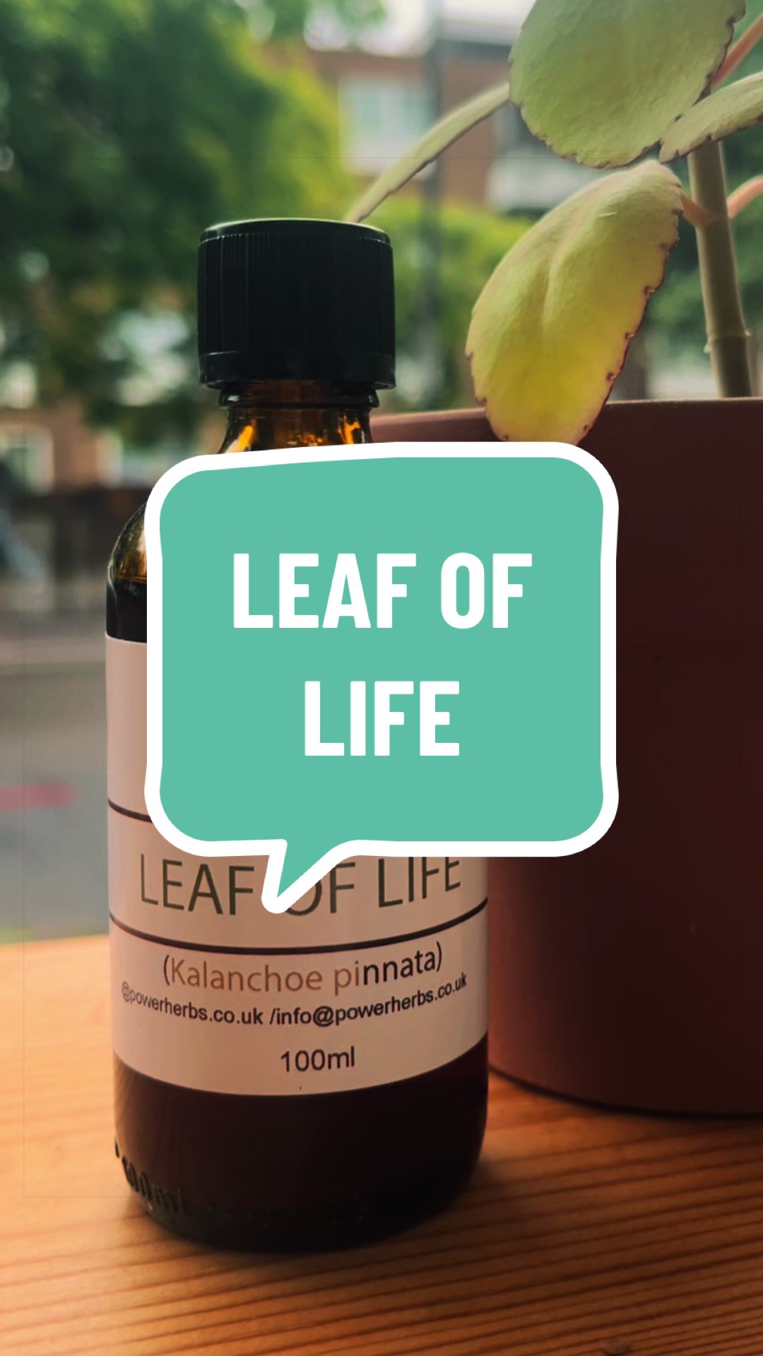 @Power Herbs Apothecary