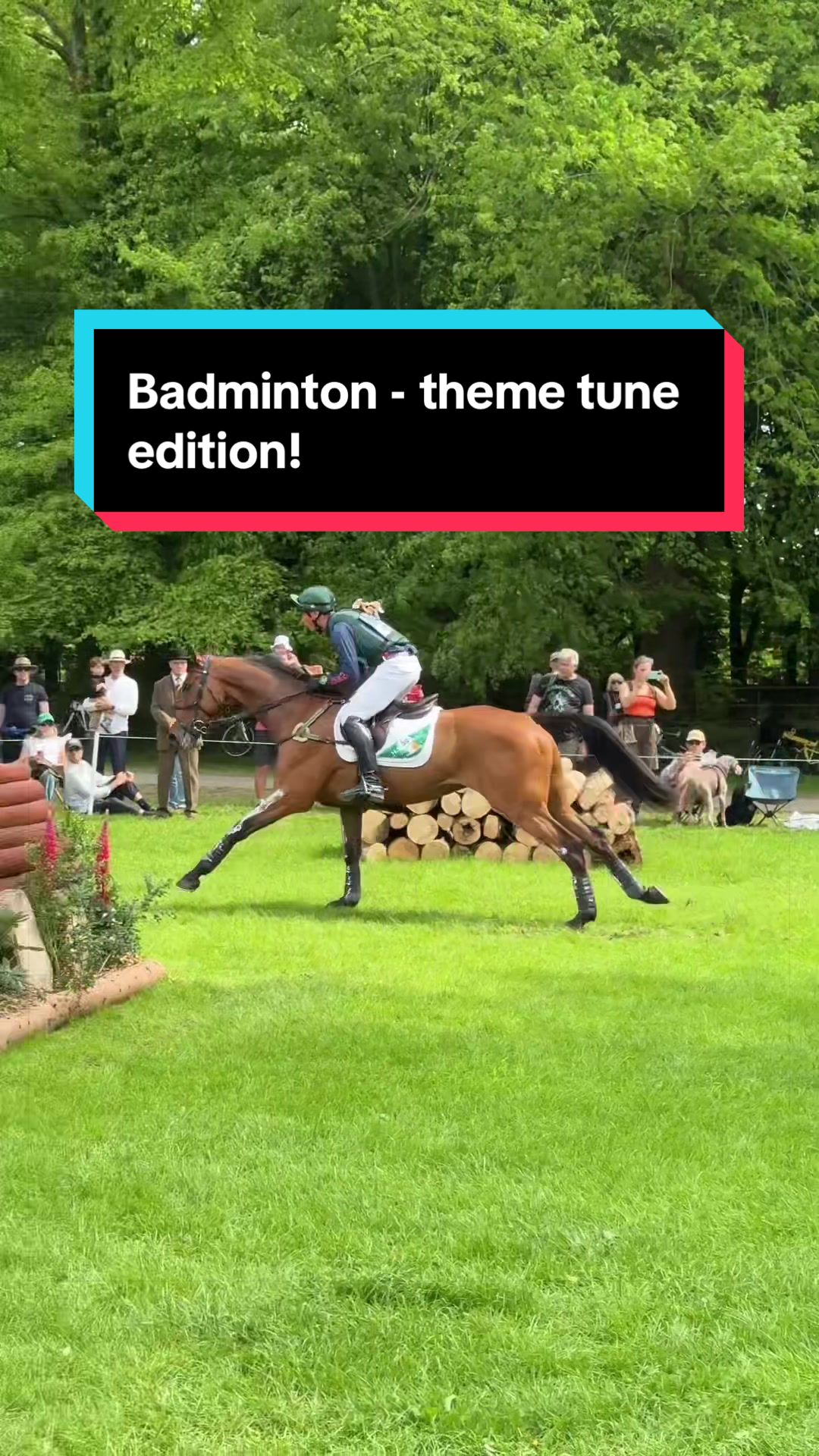 @Bex Foster 🐴