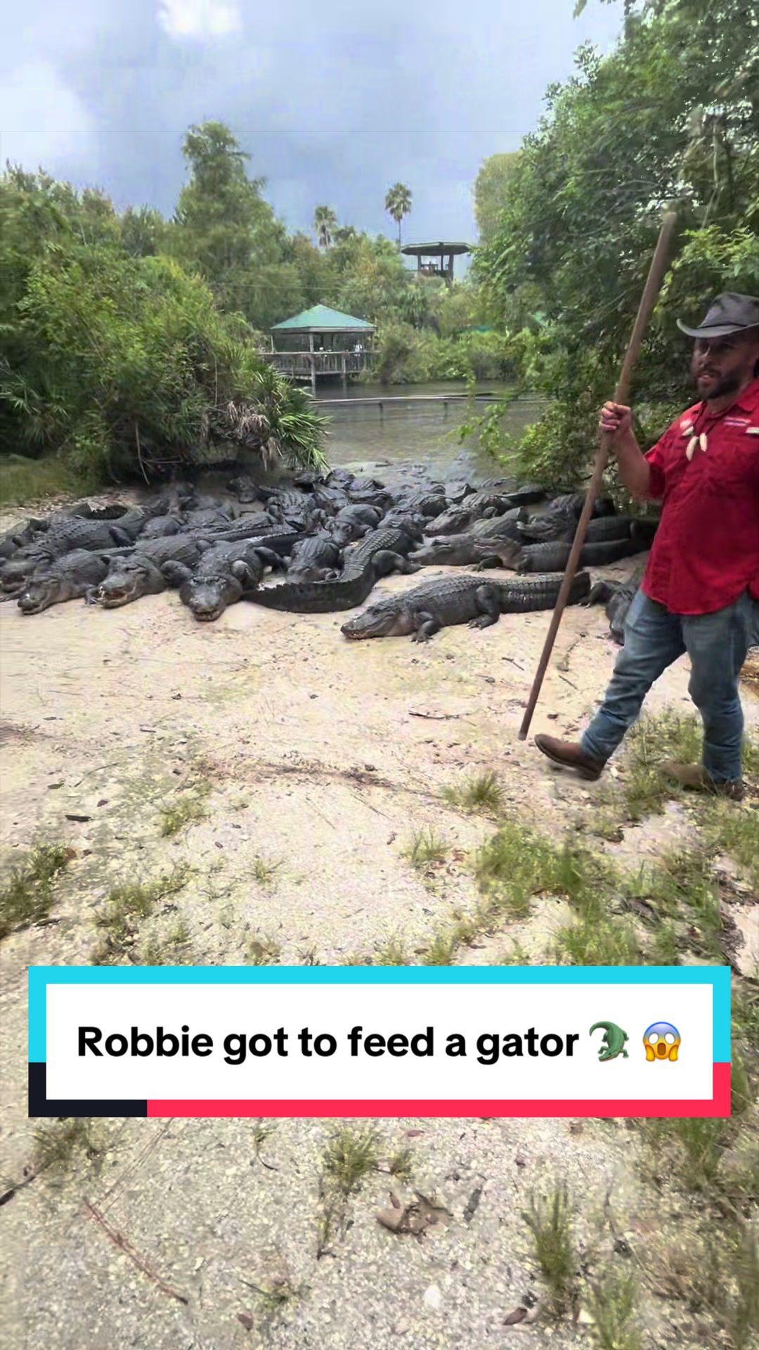 @Family Bites