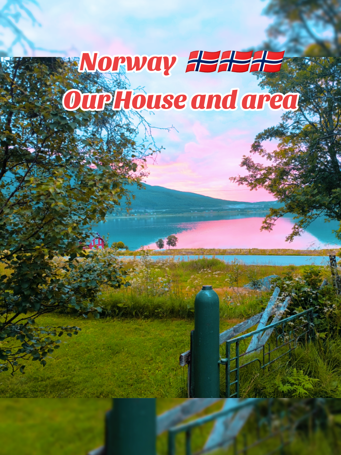 @🇨🇭🙏OneWay911🙏🇨🇭