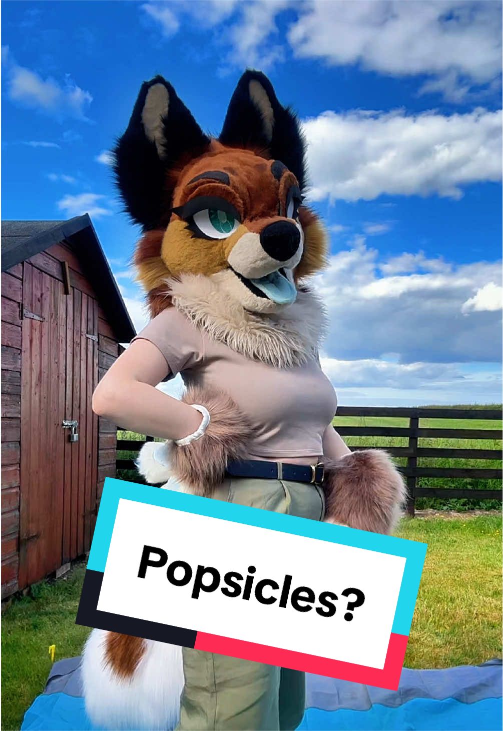 @LilFoxCori