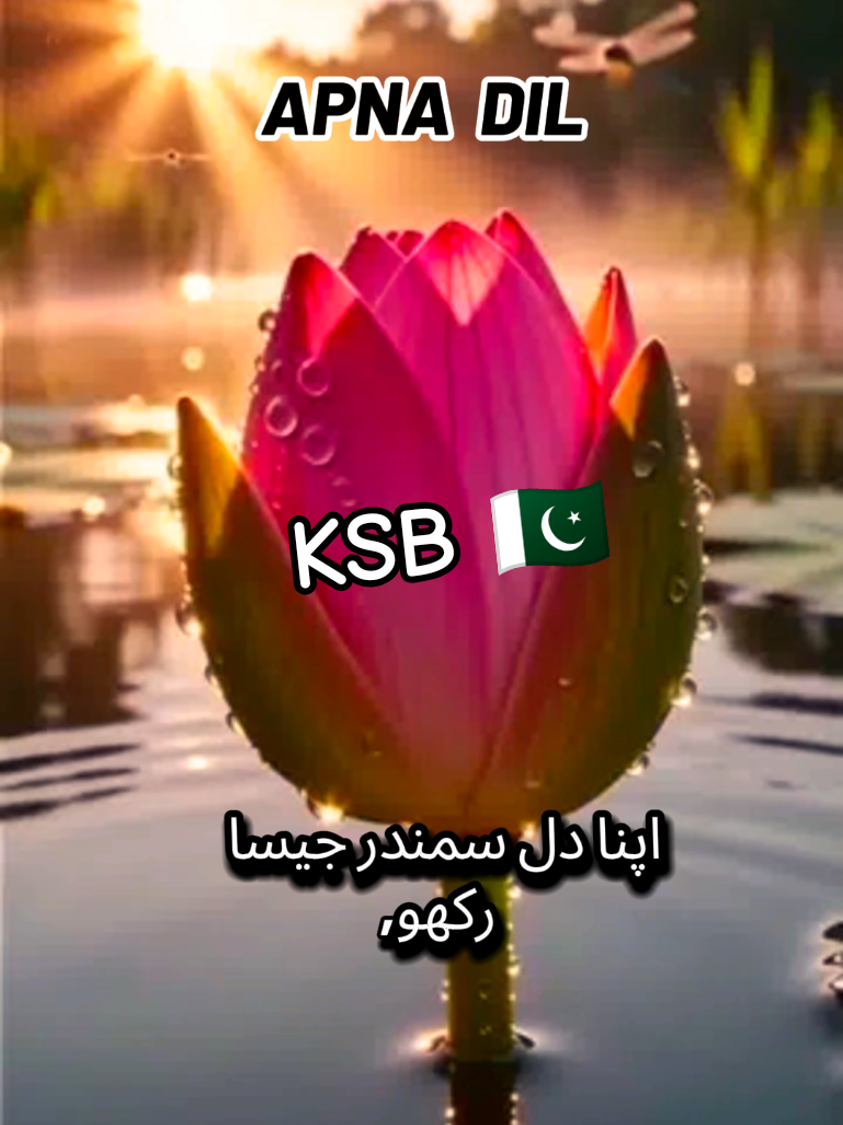 @KSB 🇵🇰