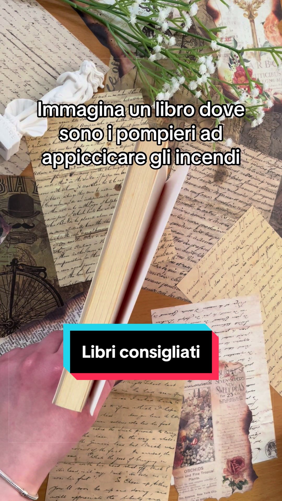 @🌙 SELENEAlaska | Booktok