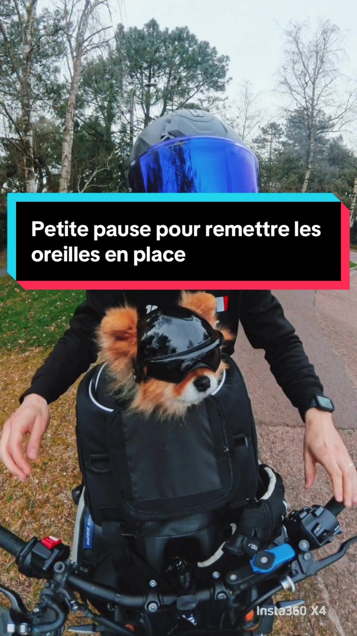 @pikanain