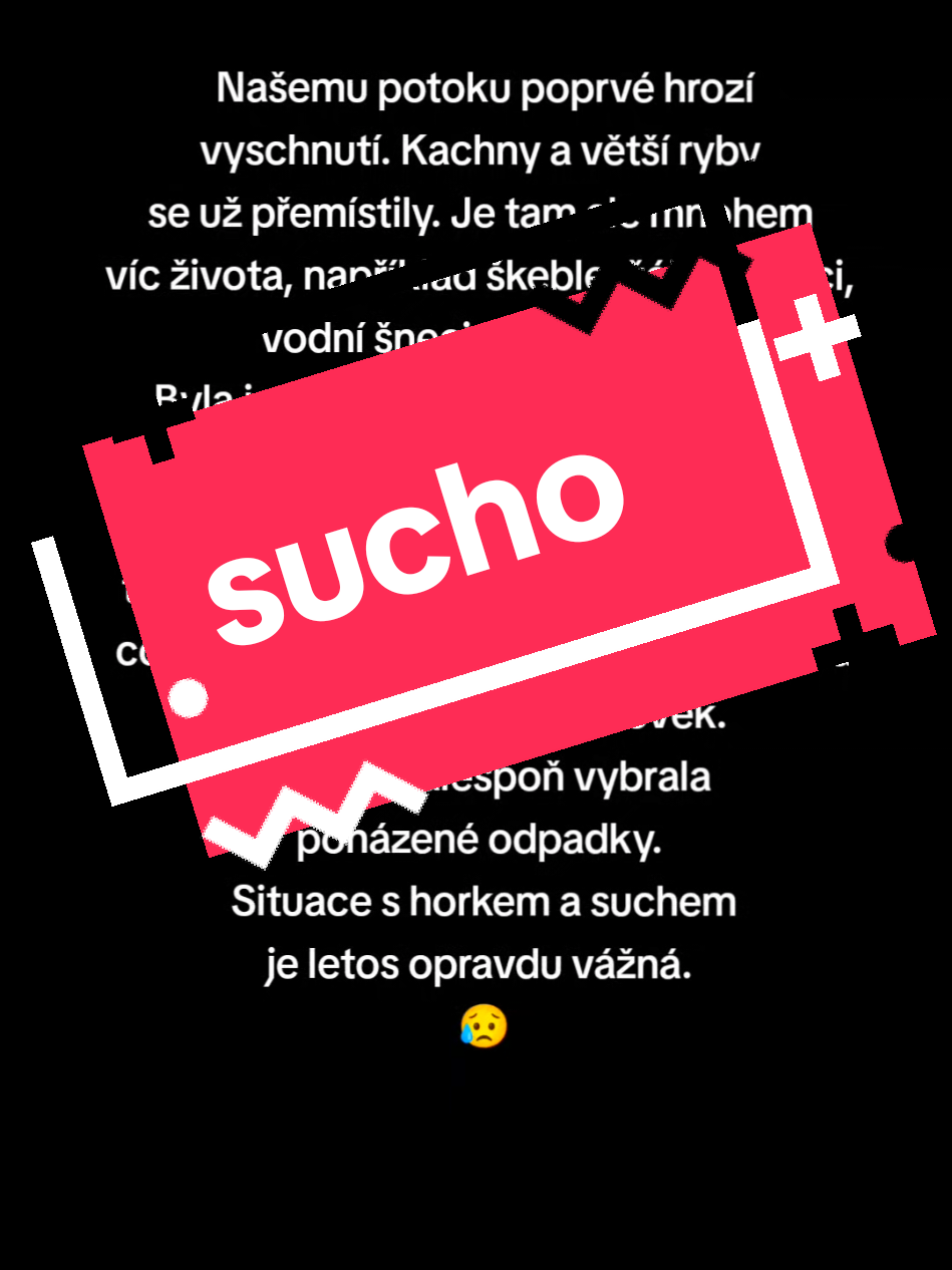 @Blanka_Avelote_Tauerová