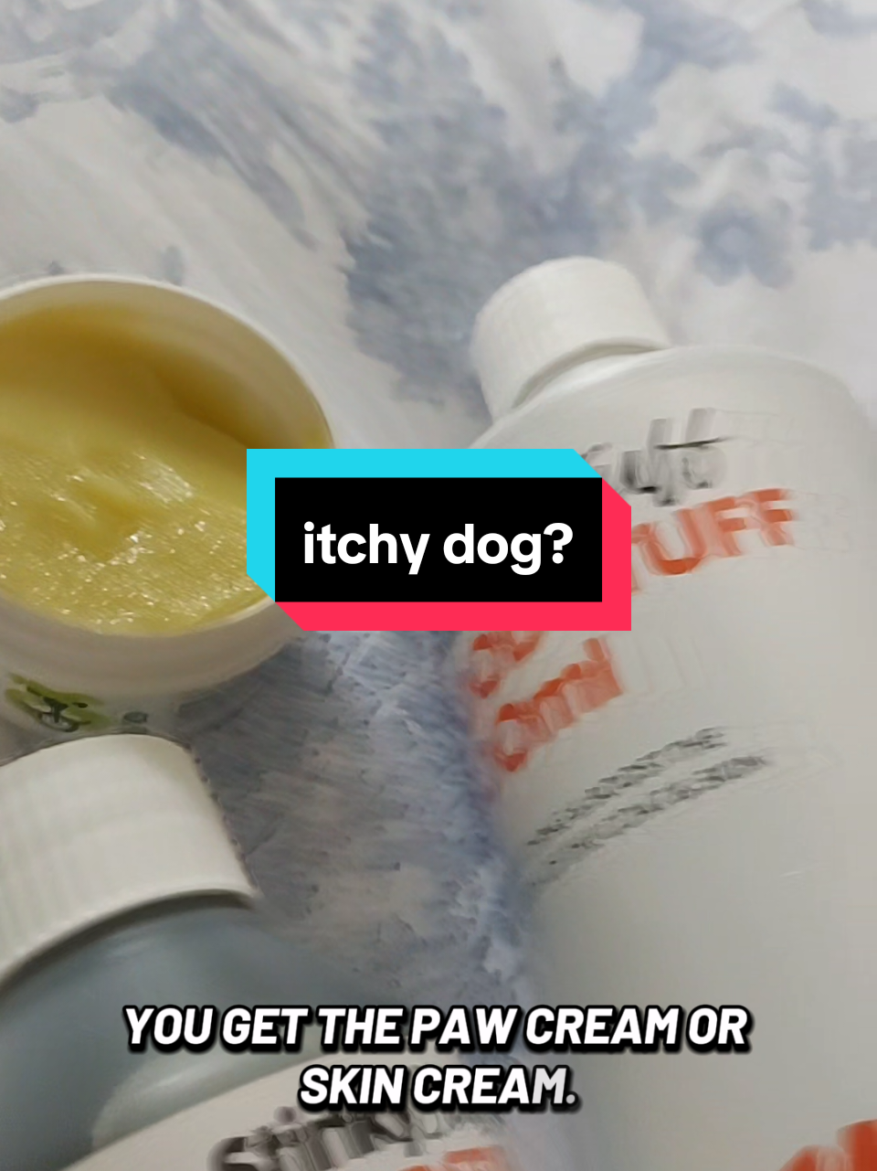@Ali & 7 Dogs