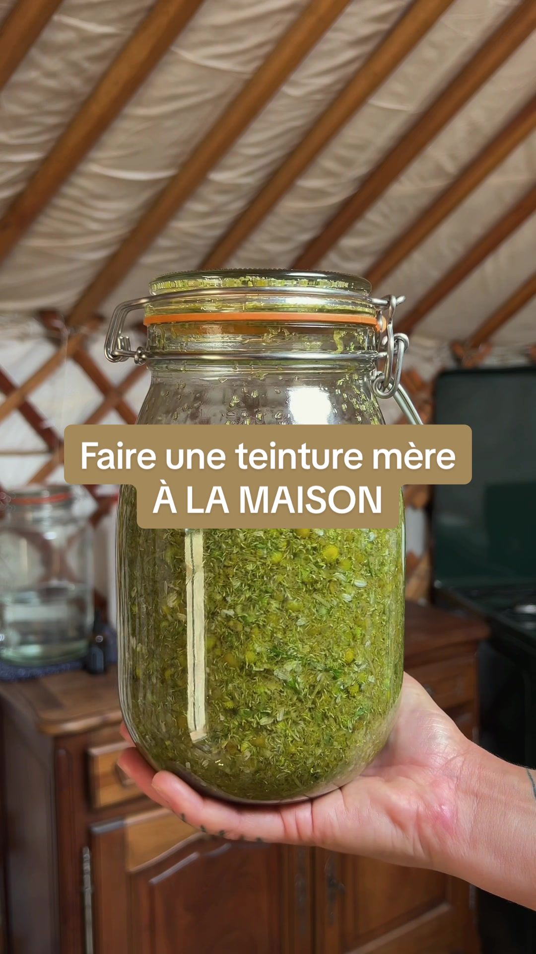 @animabotanica