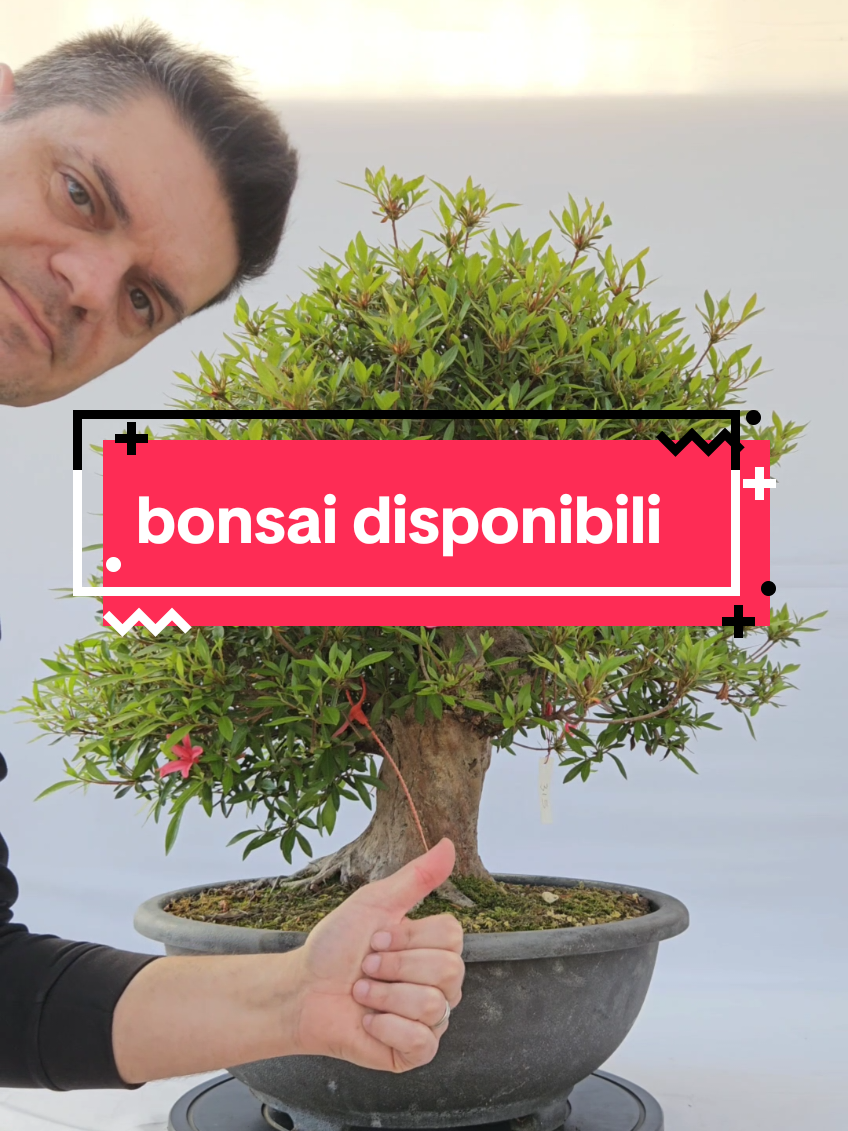 @BONS A.I.