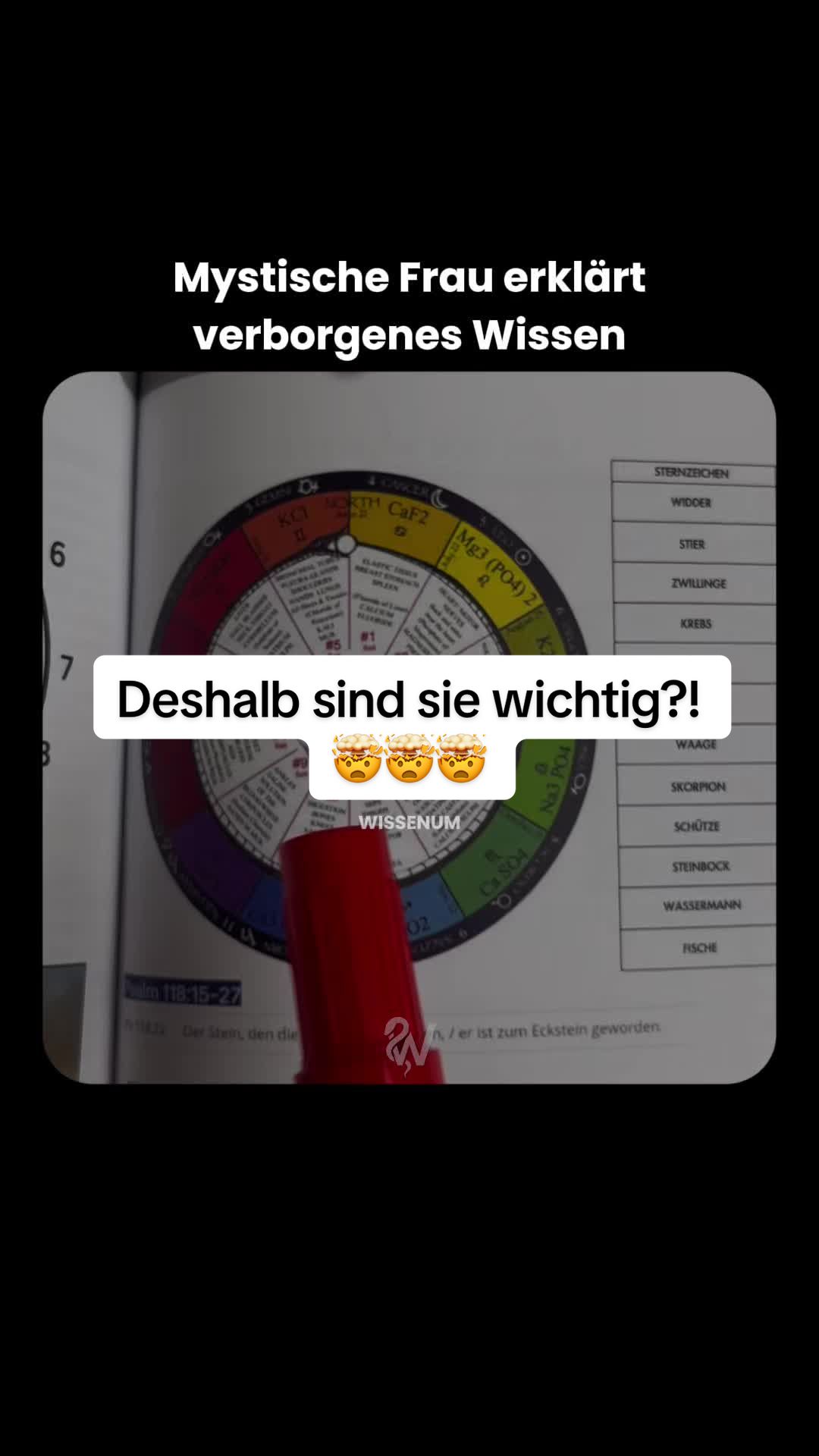 @thewissenum