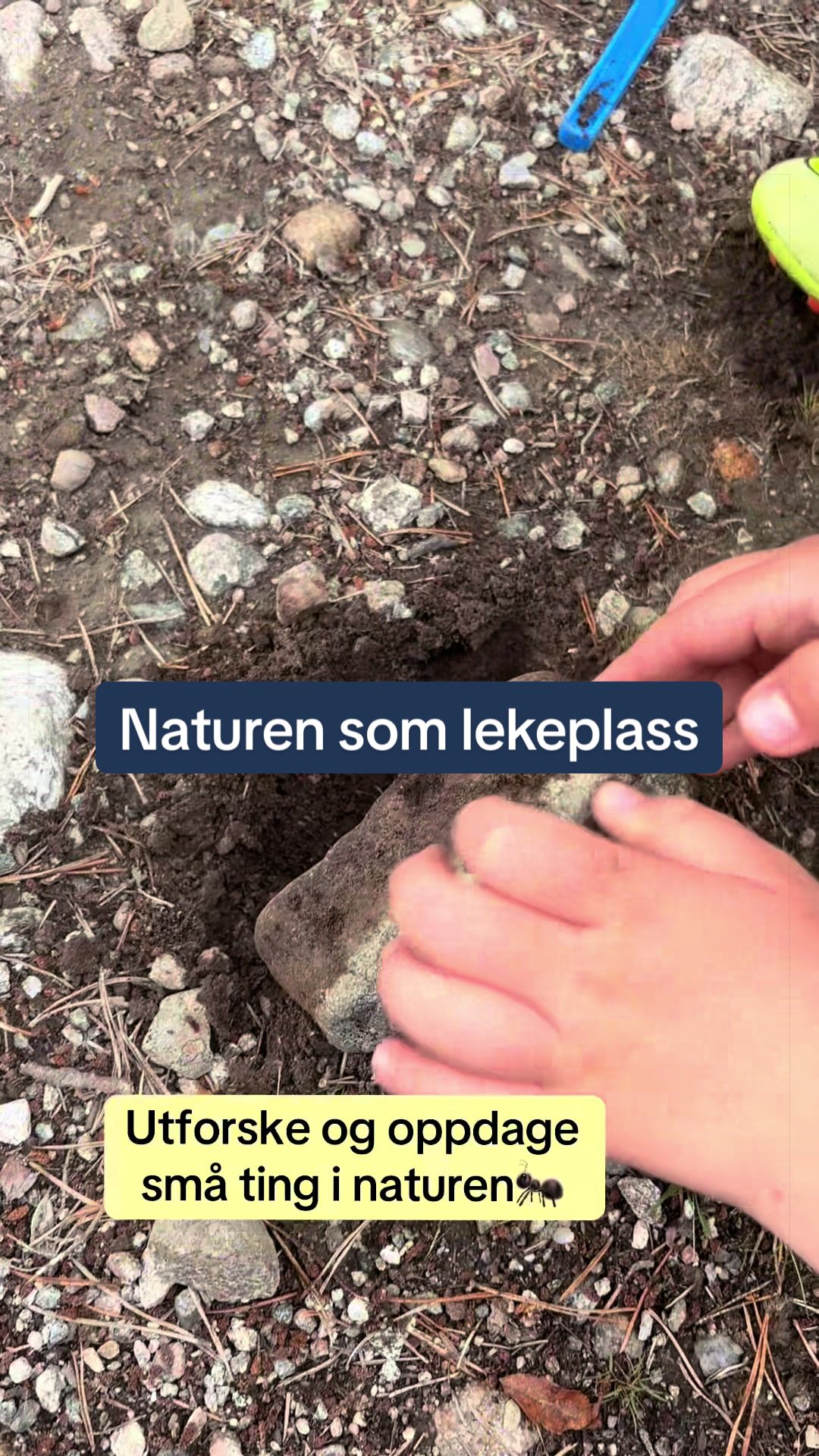 @Barnehagelærerstudenten