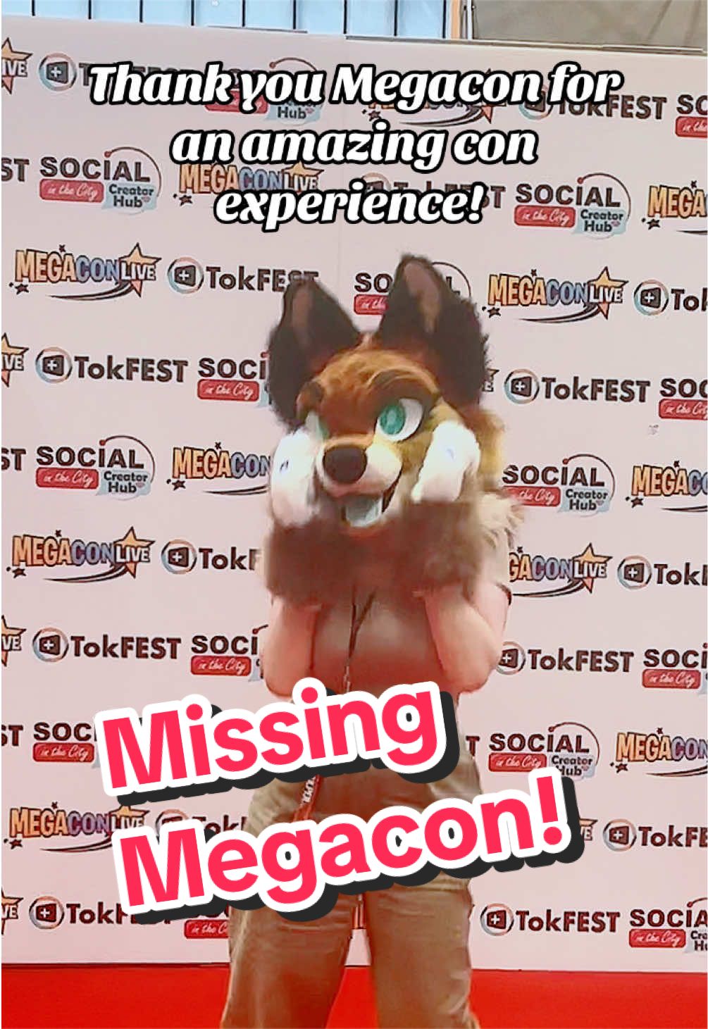@LilFoxCori