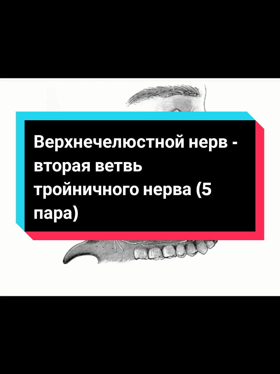 @DushaBolnicy💫