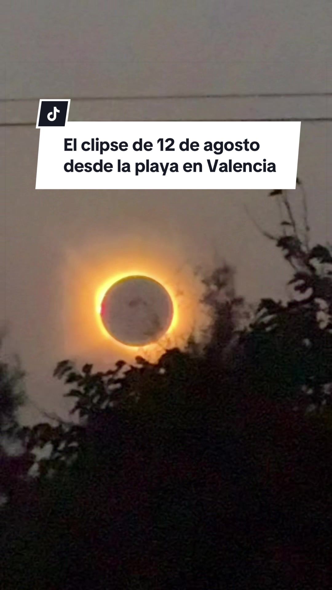 @Karyna & Pedro