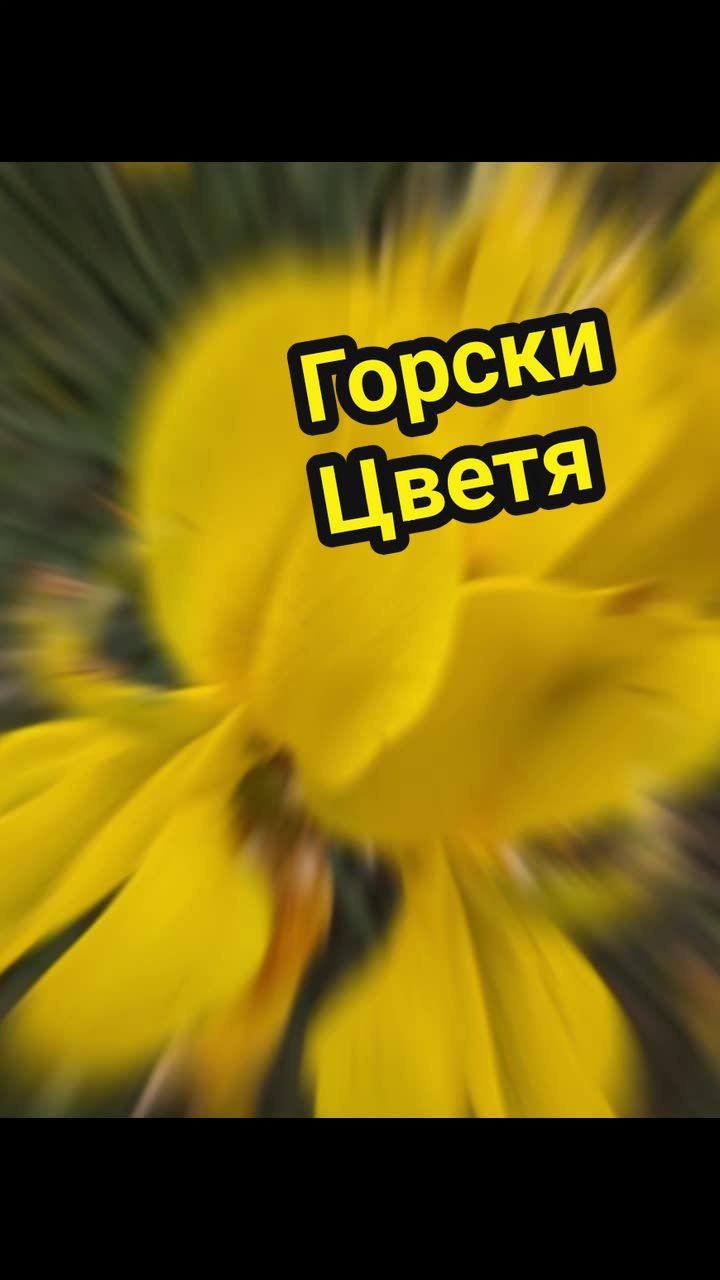 @Valentin B Naumov