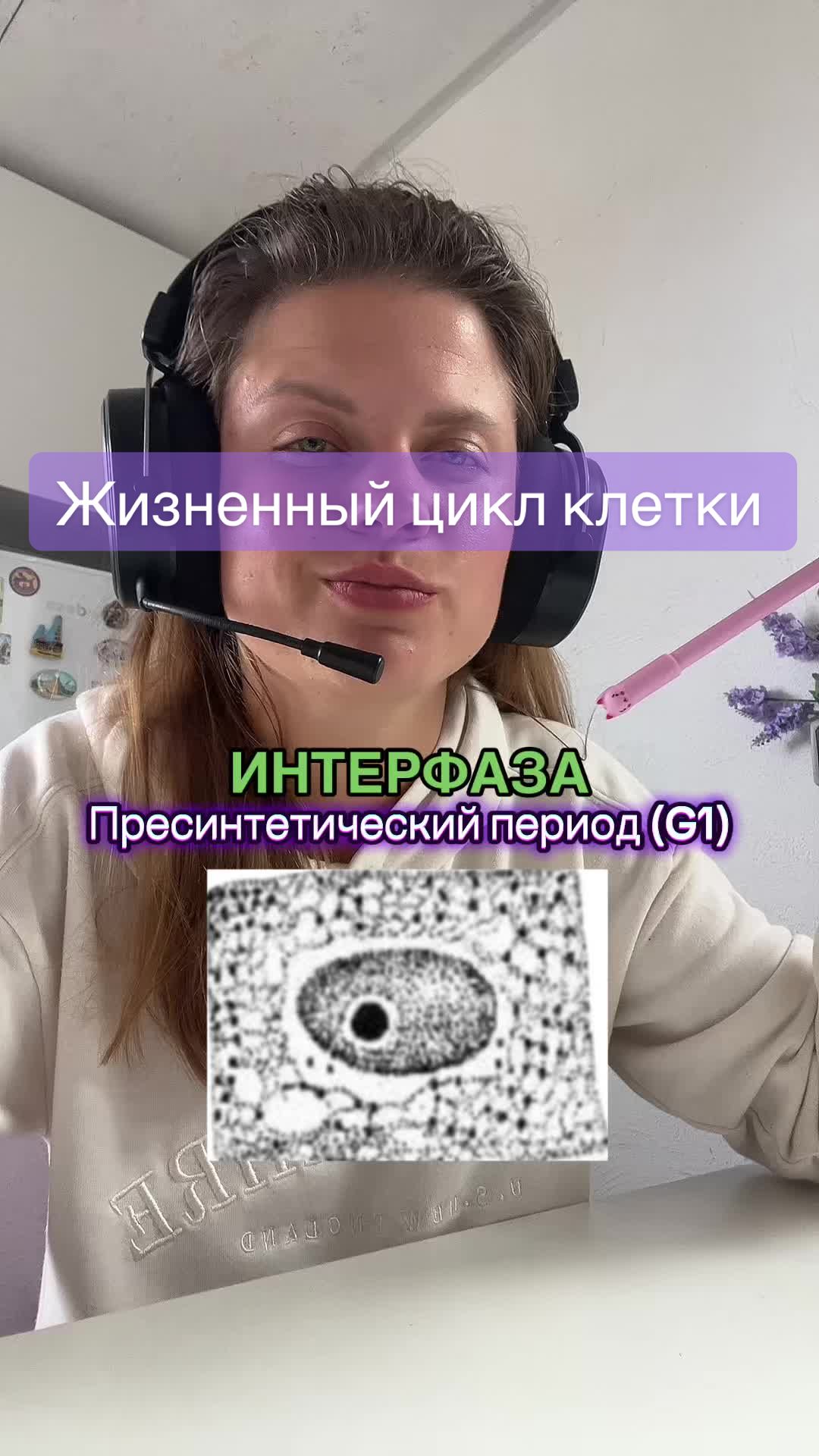 @Лизоцитоз