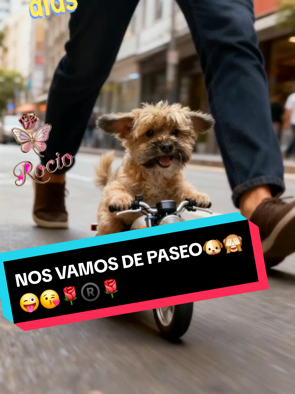 @🌹Rocío🌹46🇪🇨❤️