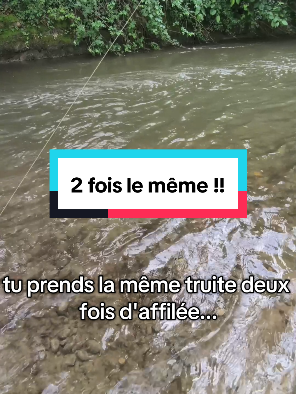 @flowfish