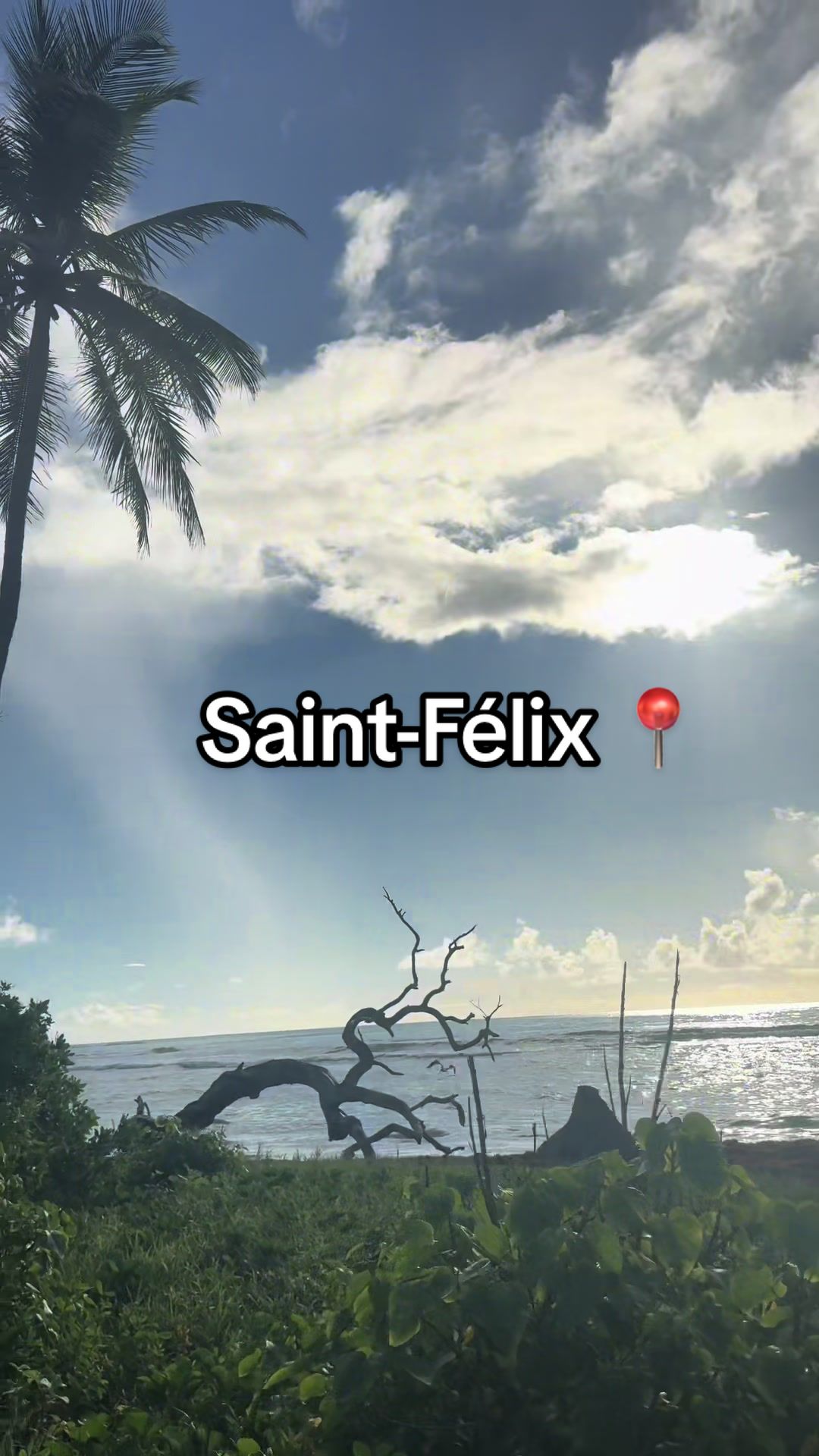 @SoDrᥱ́ᥲ ♡
