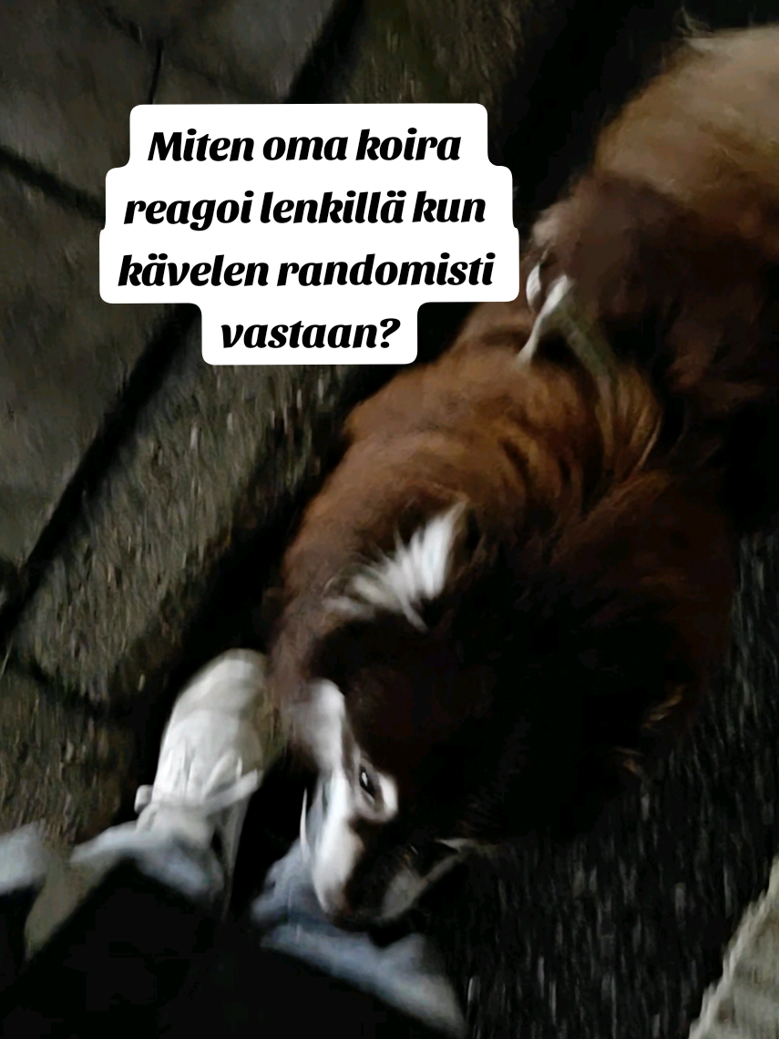 @Satu