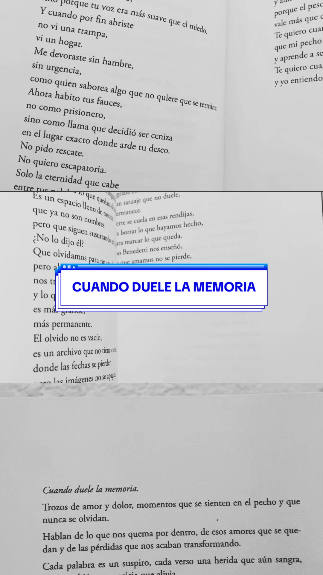 @adriaanvillegas