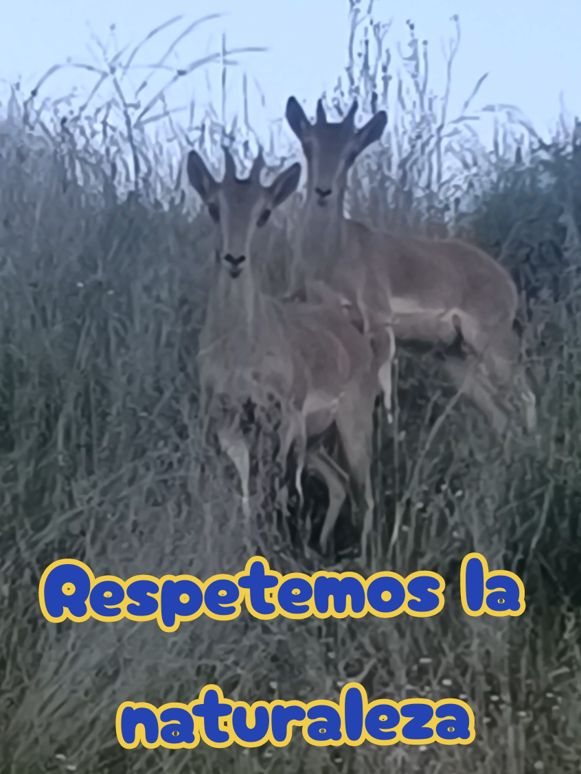 @Jose Manuel Hernande