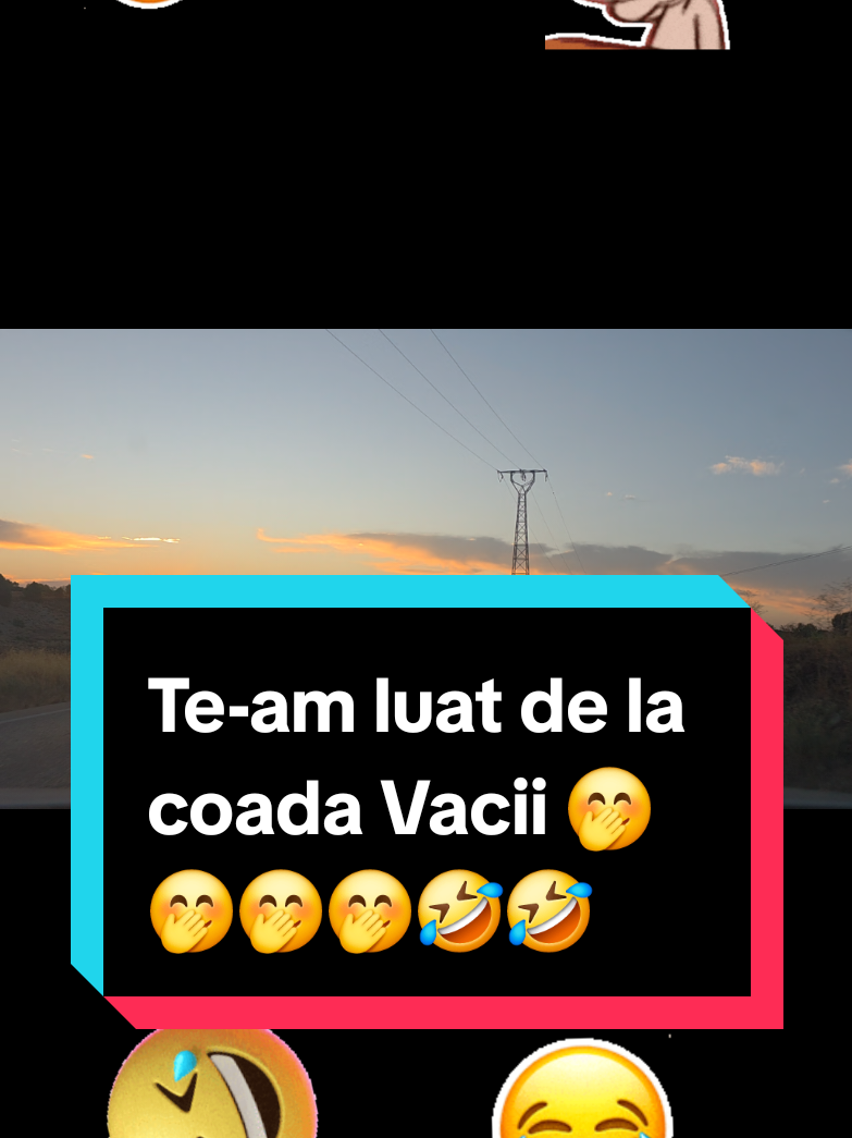 @✨✨Alex✨✨