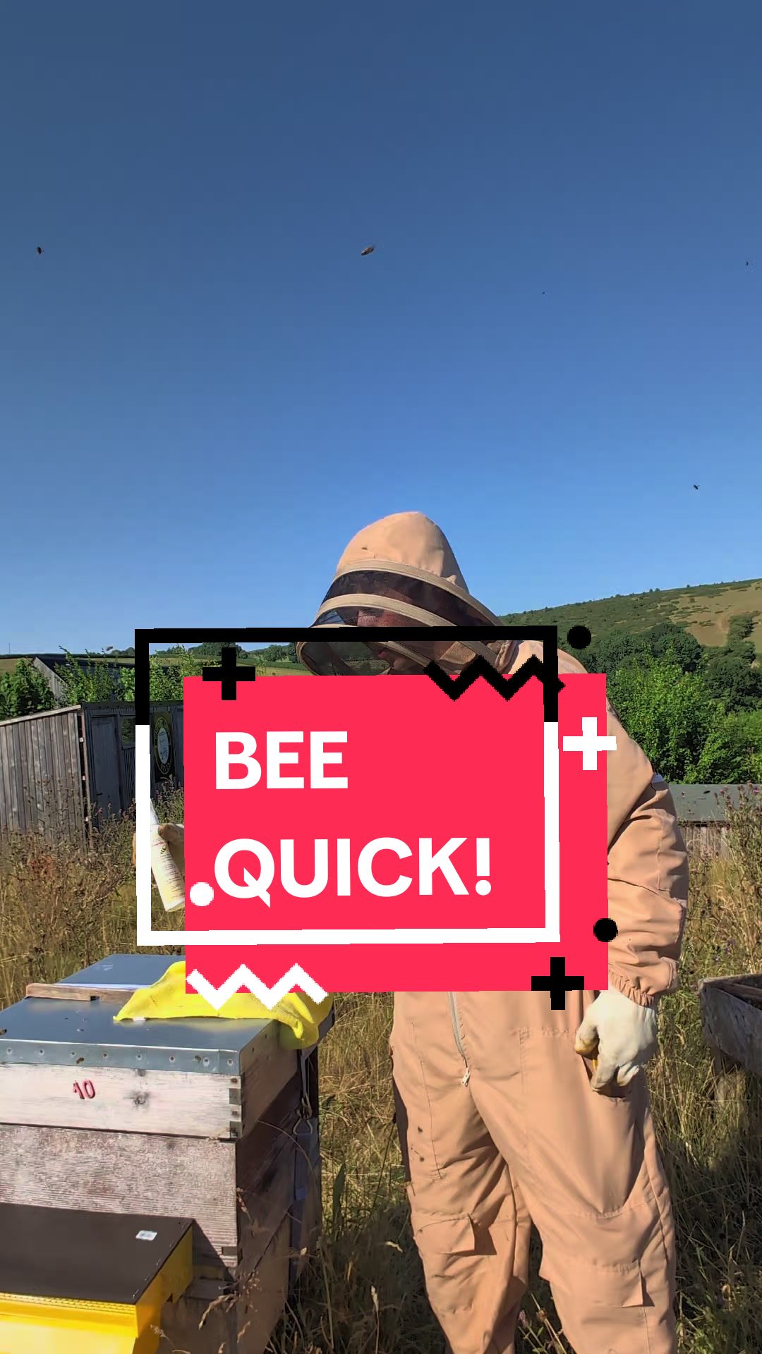 @Cherry Tree Hives
