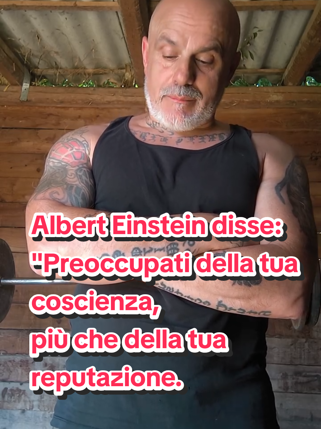 @ENZO FULGOR