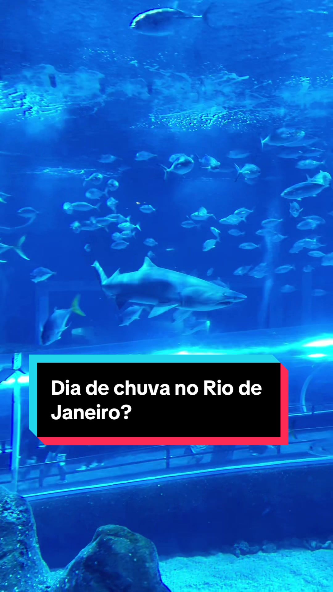 @🏝️CPCITO🏝️