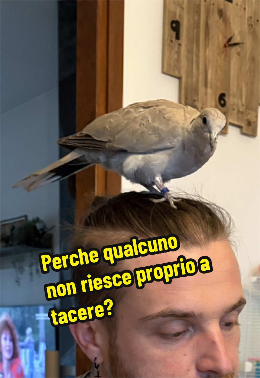 @Eleonora B.