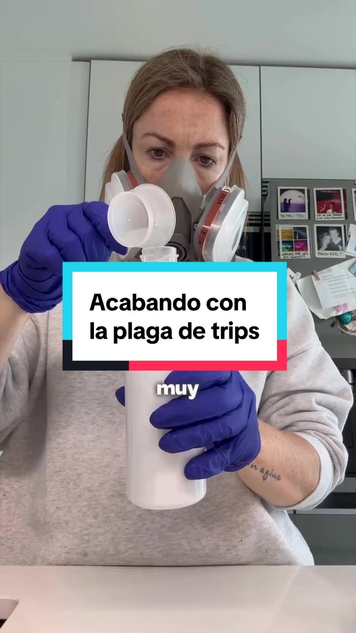 @🌱 En Abril Hojas Mil 🌱