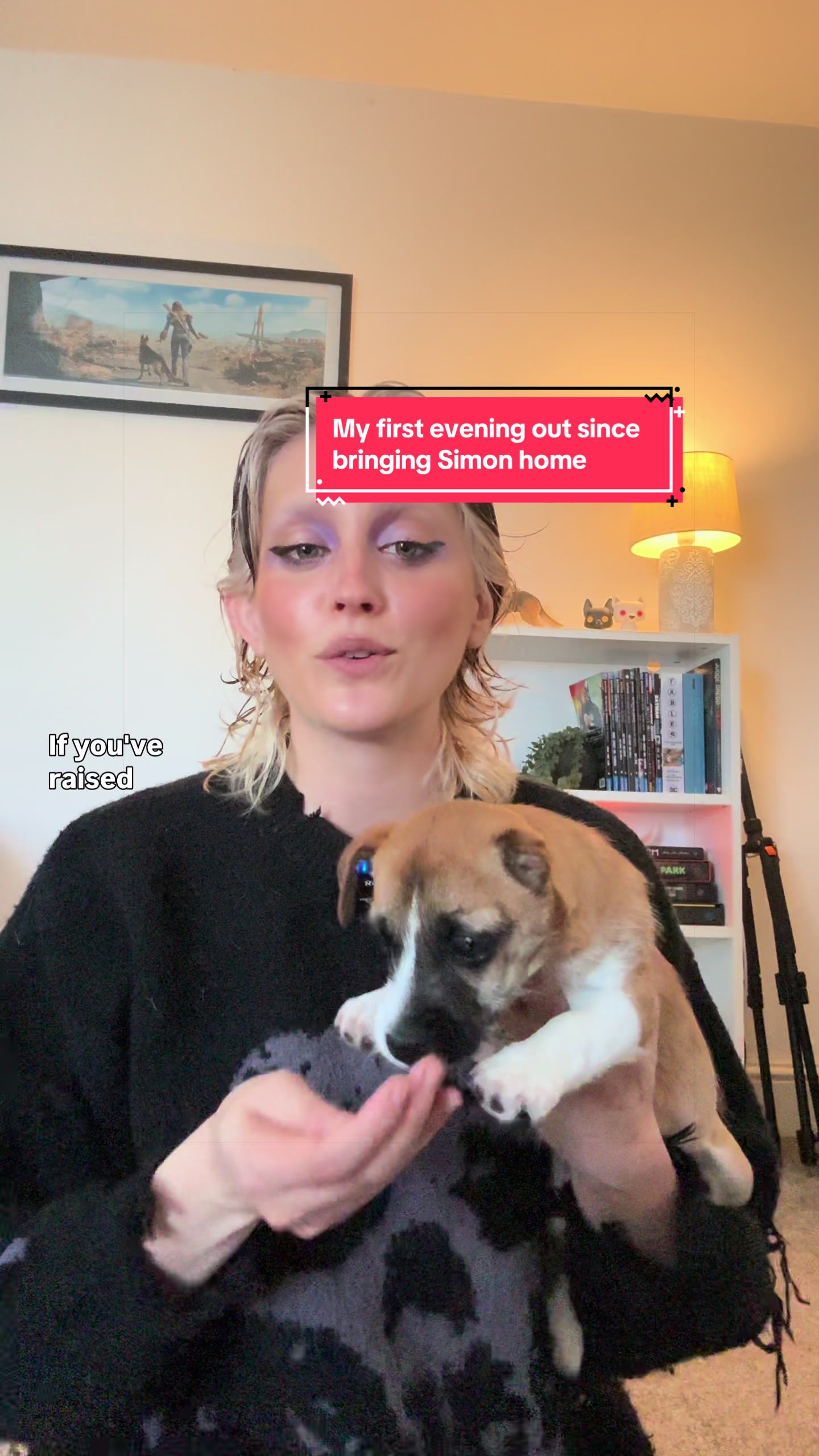 @Amelia the Dog Trainer