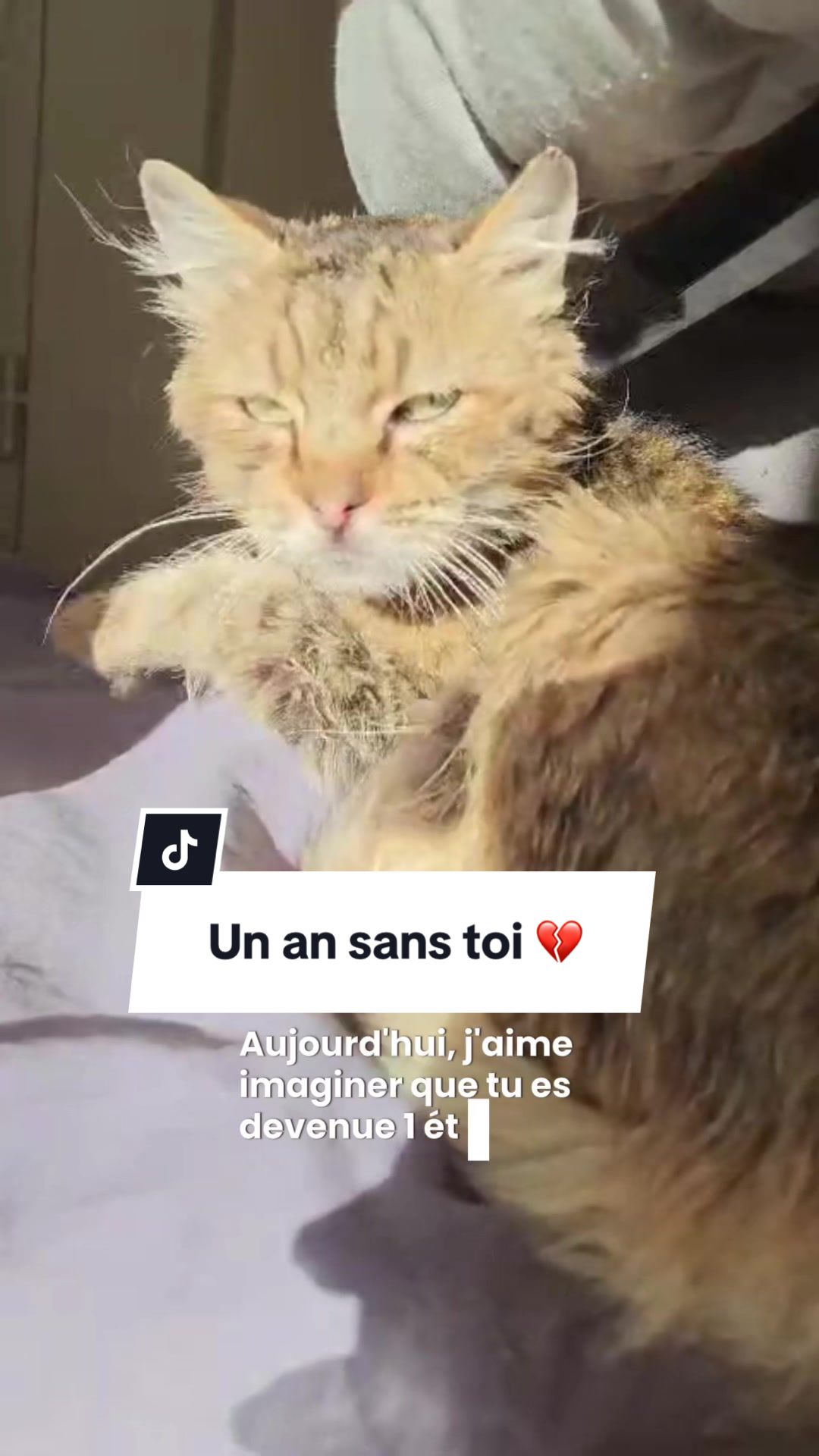 @LoTilia__