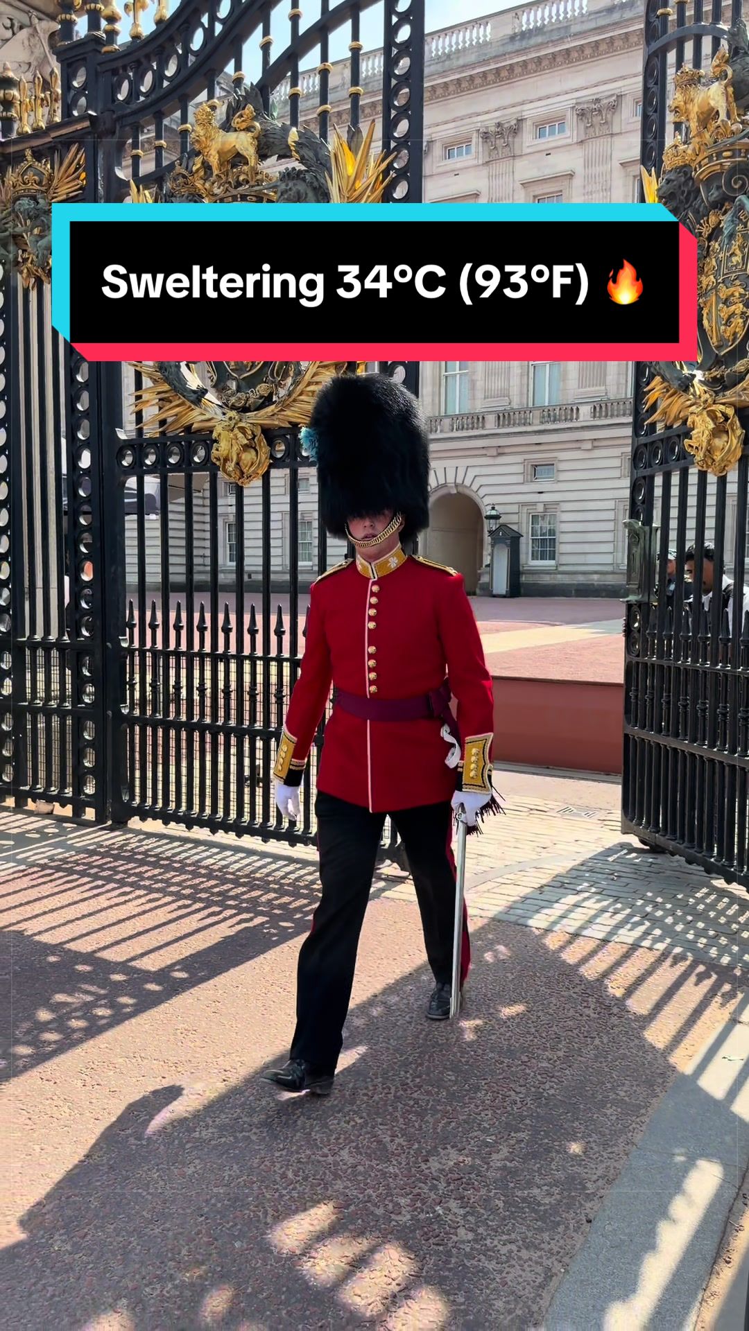 @King’s Guard Tours