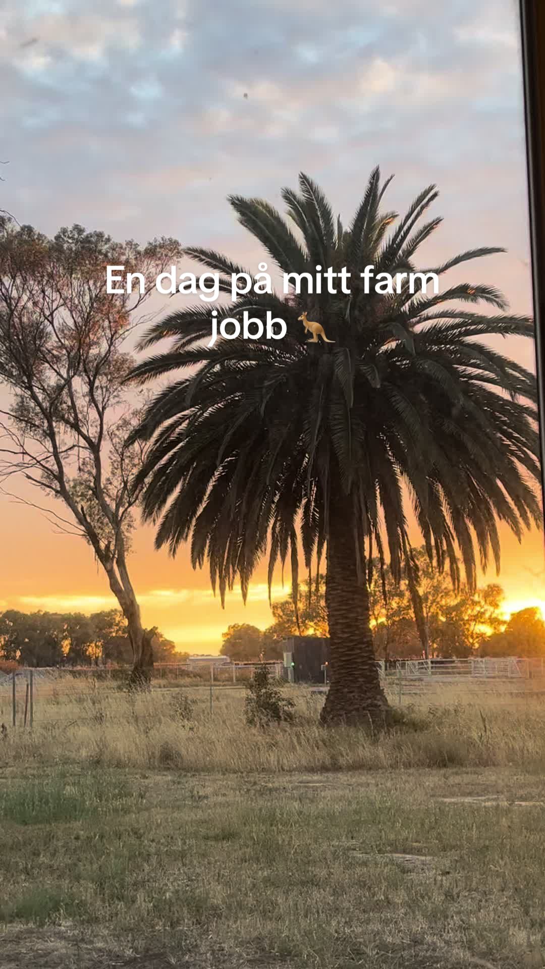 @Samira 𓇼 𓇼 𓇼