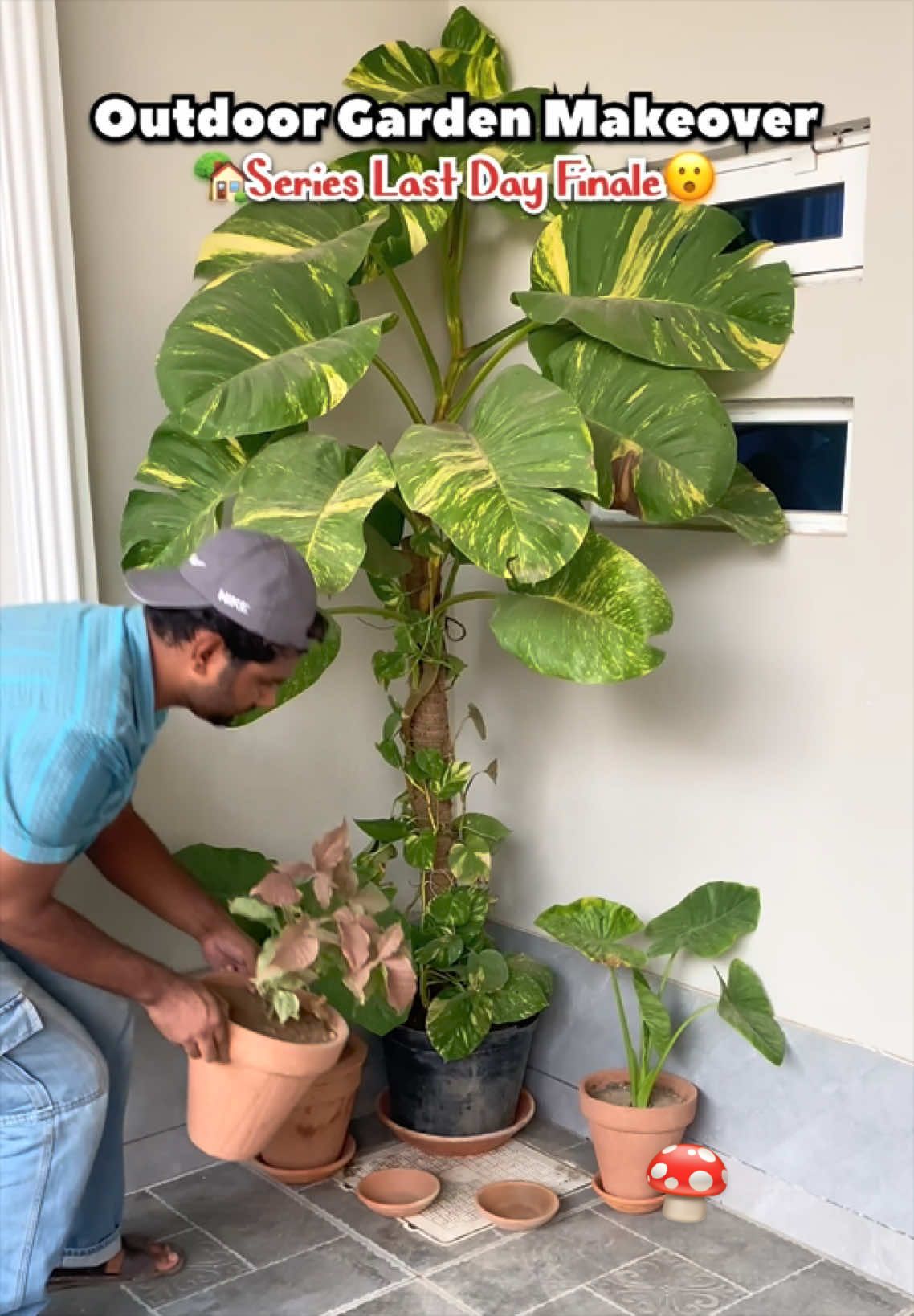 @Plantwithmomin